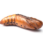 Chrysalis of butterfly isolated on white background.
